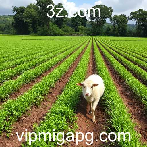 Reportagens da Mídia